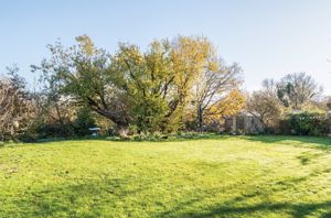 Rear garden angle 4- click for photo gallery